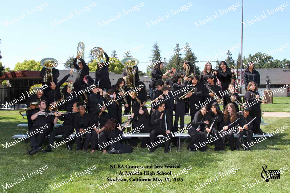 Musical Images